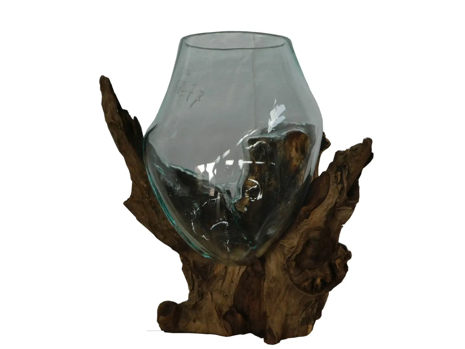 Product image 1 of the product “Driftwood with glass as plant pot ”